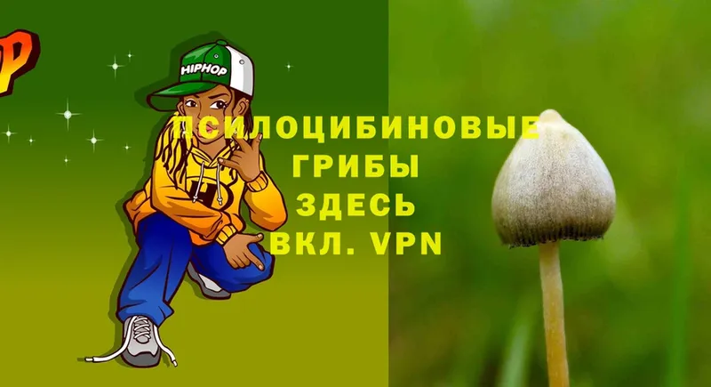 Псилоцибиновые грибы GOLDEN TEACHER  Серпухов 